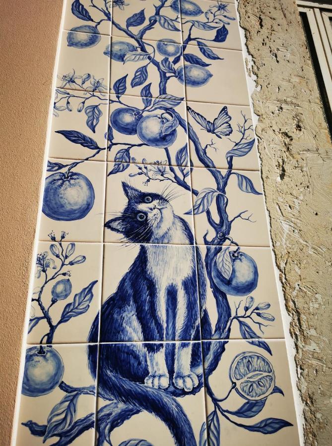 Vida A Portuguesa, Charming Apartment "Algarve" , In The Cultural And Historical Center Portimão Buitenkant foto